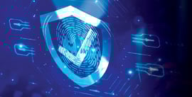 Executive Oversight Without Operational Overwhelm: The 99.9% Delegation Framework